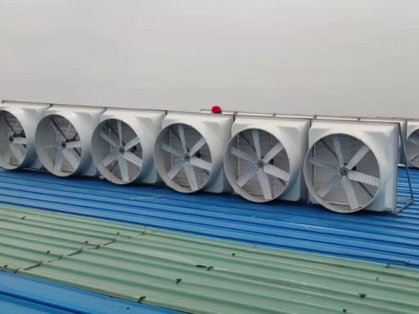 金泰包裝負(fù)壓風(fēng)機(jī)安裝實例